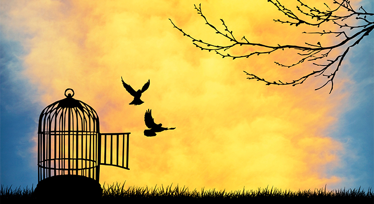 Don't Get Caught In The Renter's Trap | Simplifying The Market