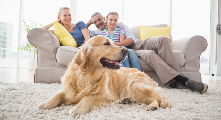 What Does Home Mean to You? | Simplifying The Market