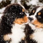 Winter Is Coming… 5 Reasons to Sell Now!