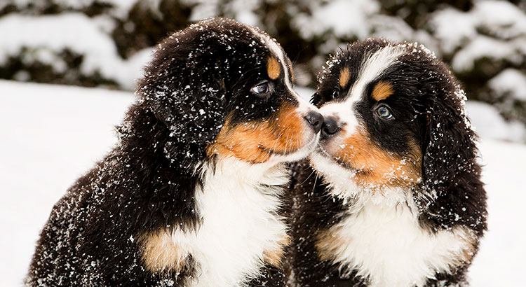 Winter Is Coming… 5 Reasons to Sell Now! | Simplifying The Market