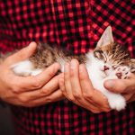 Selling Your Home? Is Your Listing ‘Pet-Friendly’?