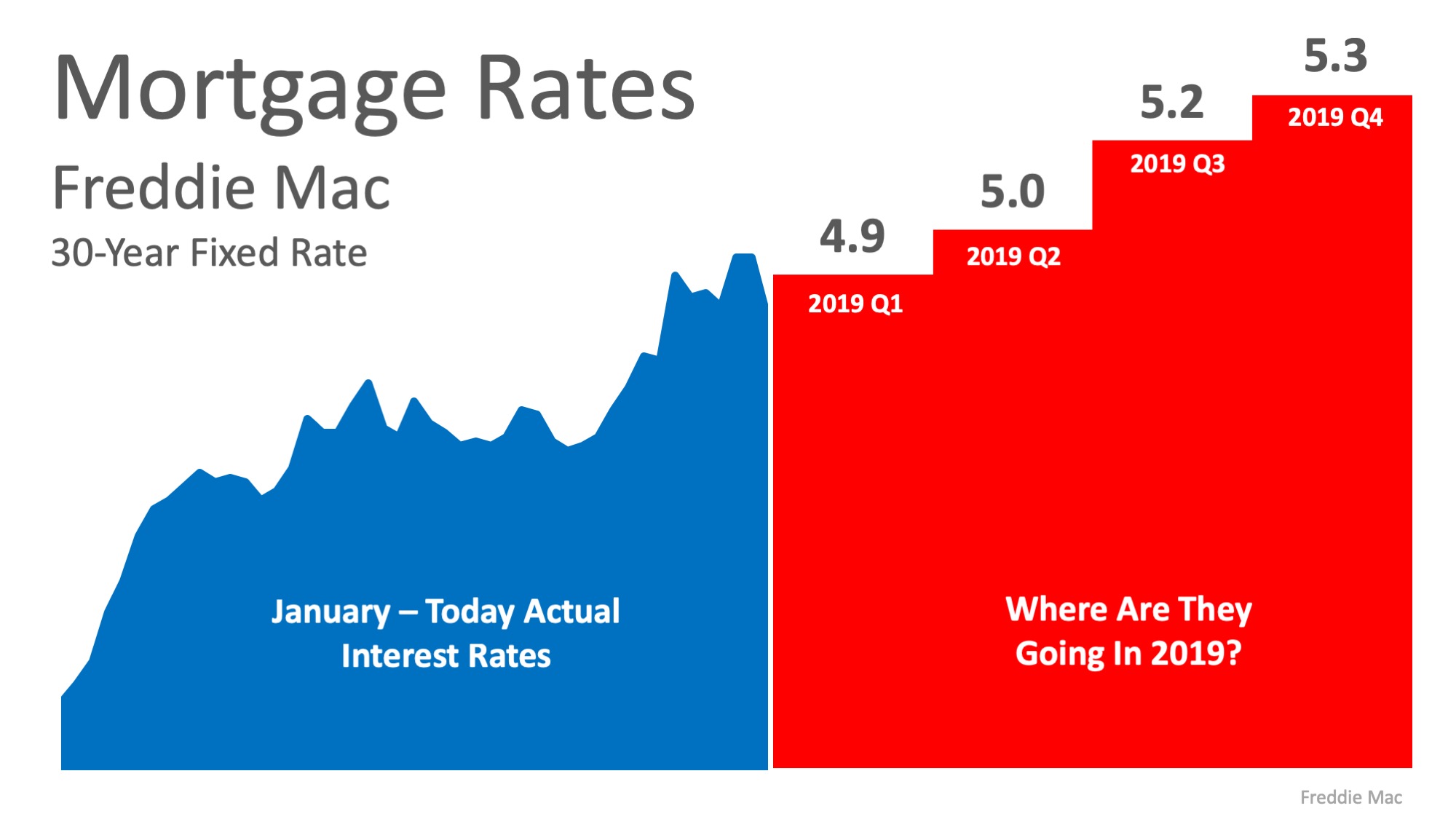 dotbot interest rates