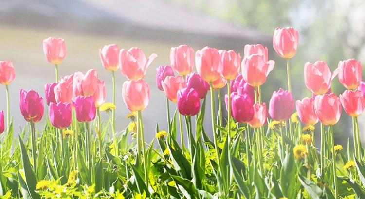 The Housing Market Will “Spring Forward” This Year! | Simplifying The Market
