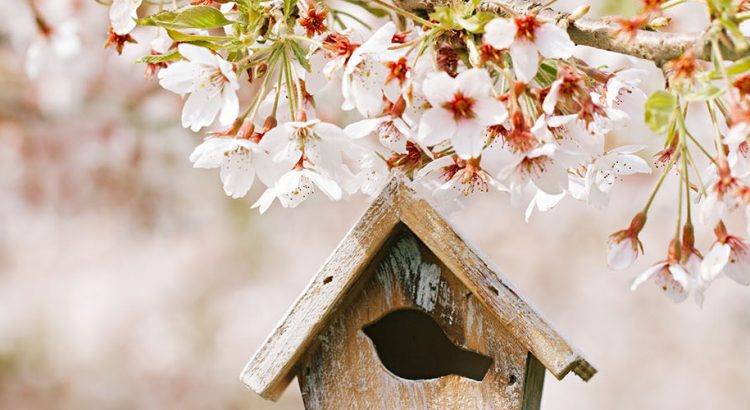 Data Says April is the Best Month to List Your Home For Sale | Simplifying The Market