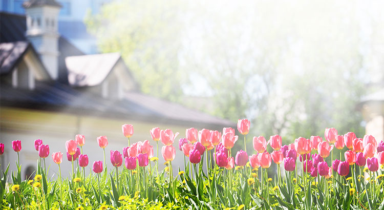 The Housing Market Will âSpring Forwardâ This Year! | Simplifying The Market