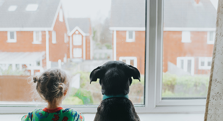 Si está buscando una casa para comprar ahora mismo y tiene problemas para encontrarla, no está solo. En un momento como este, cuando hay tan pocas casas para la venta, es normal preguntarse si realmente encontrará una casa para comprar. Según la Asociación Nacional de Realtors (NAR por sus siglas en inglés), en todo el país, el inventario de casas disponibles para la venta se encuentra en un mínimo histórico, el punto más bajo registrado desde que NAR comenzó a hacer seguimiento de esta métrica en 1982. Sin embargo, se espera que más casas lleguen al mercado este año. Vamos a desglosar las tres áreas claves de donde probablemente vendrán a medida que continúa el 2021.

