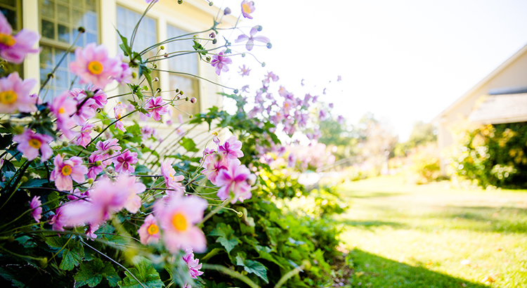 Spring is almost here, and many are wondering what it will bring for the housing market. Even though the pandemic continues on, it’s certain to be very different from the spring we experienced at this time last year. Here’s what a few industry experts have to say about the housing market and how it will bloom this season.