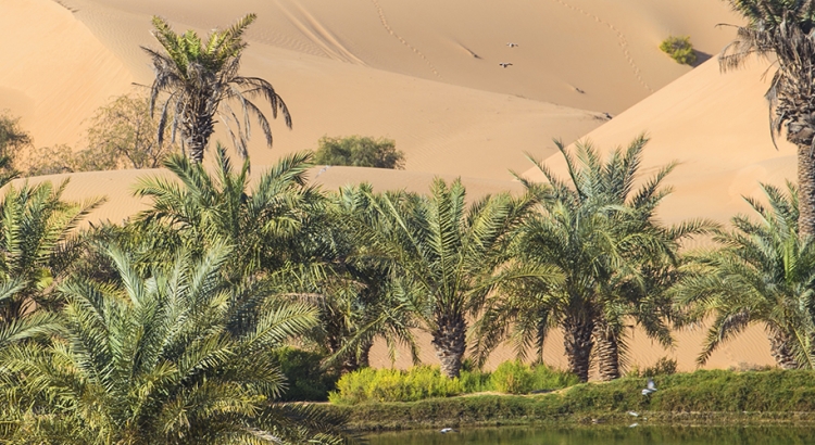 Your House Could Be the Oasis in an Inventory Desert | Simplifying The Market